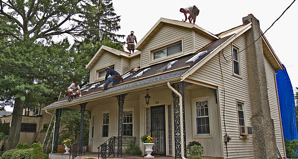 Best Storm Damage Roof Repair  in Friendswood, TX