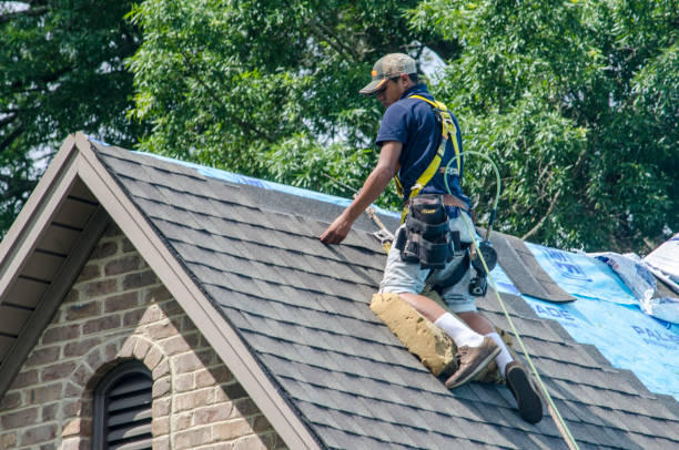 Best Roof Gutter Cleaning  in Friendswood, TX